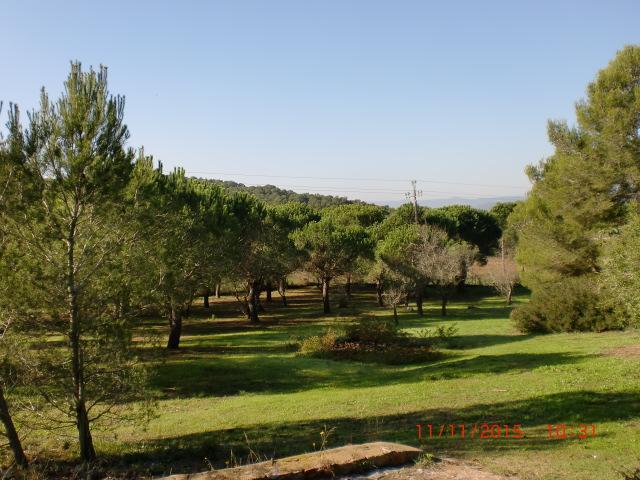 Puig Gros Montrás Exterior photo