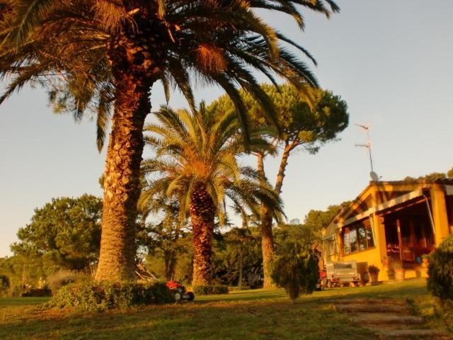 Puig Gros Montrás Exterior photo